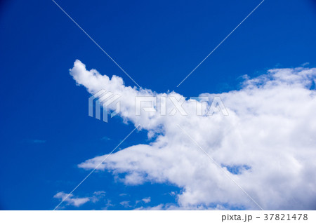 竜の形の雲の写真素材 [37821478] - PIXTA