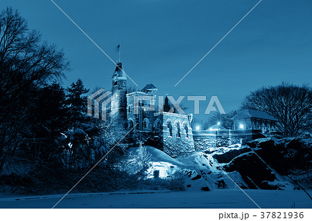 Central Park winter 37821936