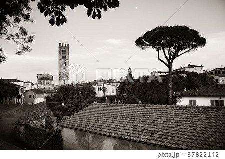 Basilica di San Frediano in Lucca 37822142