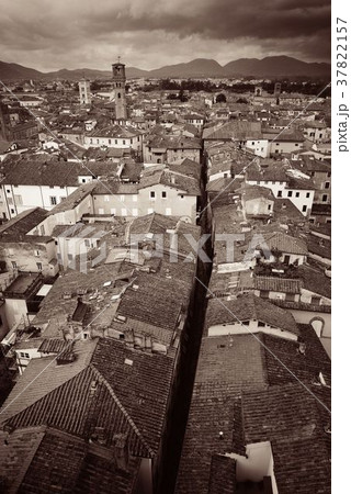 Lucca rooftop view with mountain Lucca rooftop view with mountain 37822157
