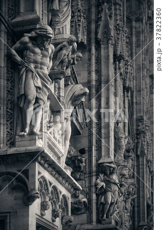 Milan Cathedral closeup Milan Cathedral closeup 37822360