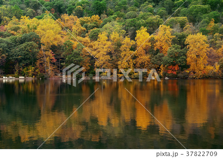Autumn Lake Autumn Lake 37822709
