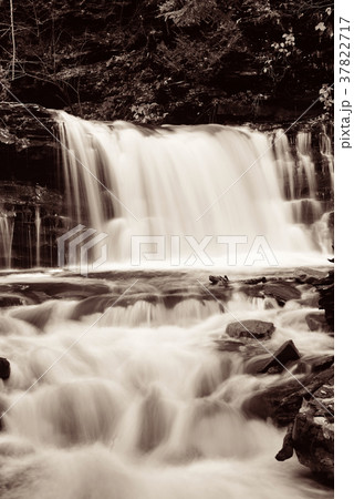 Waterfalls in black and white 37822717