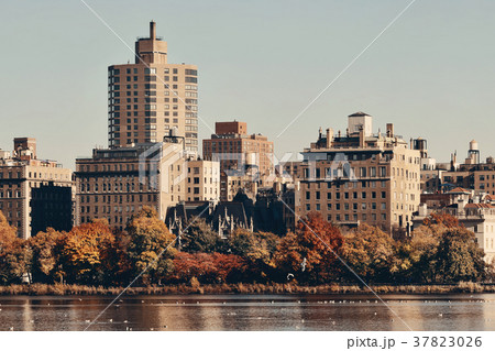 Central Park Autumn Central Park Autumn 37823026