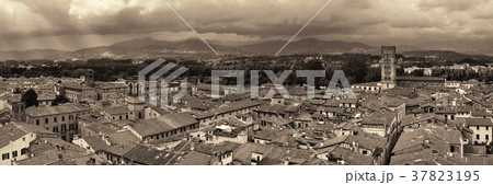Lucca skyline tower panorama 37823195