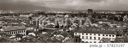 Lucca skyline tower panorama 37823197