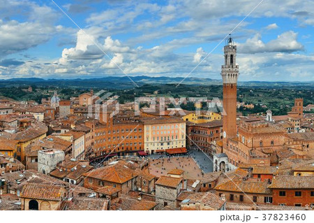 Siena bell tower Siena bell tower 37823460