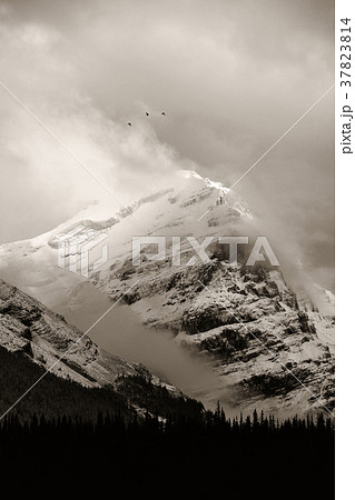 Banff National Park Banff National Park 37823814