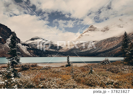 Bow Lake 37823827