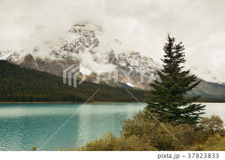 Bow Lake 37823833