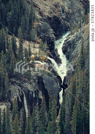 Forest and waterfall 37823835