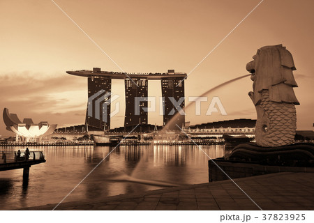 Singapore skyline 37823925
