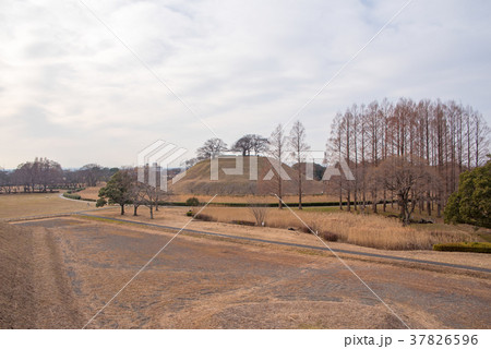 埼玉古墳群　二子山古墳　稲荷山古墳　丸墓山古墳 37826596