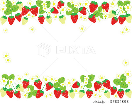 いちごカード3 いちごカード3 37834398
