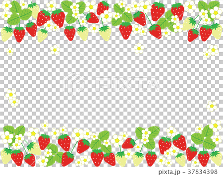 いちごカード3 いちごカード3 37834398