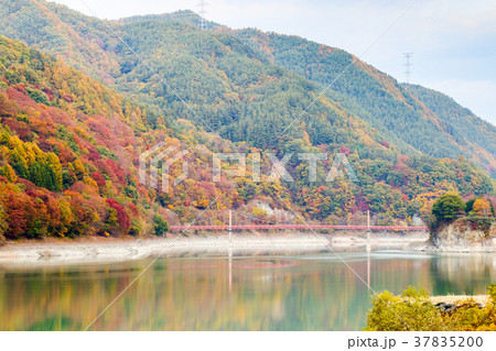 美和湖の秋　長野県伊那市 37835200