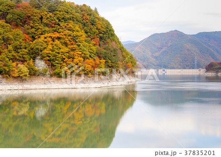 美和湖の秋　長野県伊那市 37835201