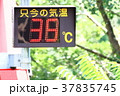猛暑 37835745