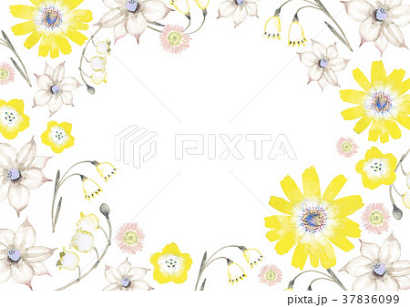 春 夏 花 背景 水彩 イラストのイラスト素材 37836099 Pixta