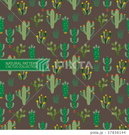 Natural Pattern,Cactus Plant,Desert Background 37836144