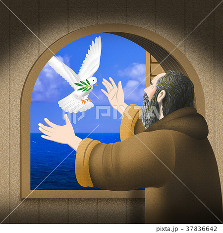 希望の鳩 37836642