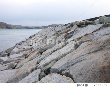 錦海湾防波堤16 37836989