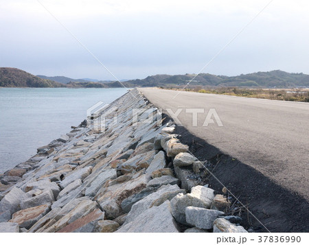 錦海湾防波堤17 37836990