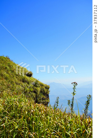 Landscape of Phu Chee Fa, Chiang Rai Thailand Landscape of Phu Chee Fa, Chiang Rai Thailand 37837112
