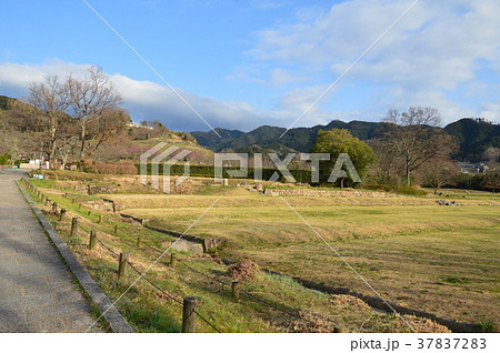 国営飛鳥歴史公園の「石舞台地区」（奈良県高市郡明日香村） 37837283
