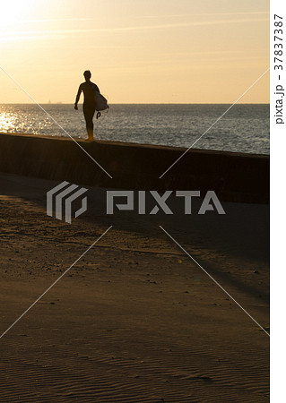 サーフィンと海 サーフィンと海 37837387