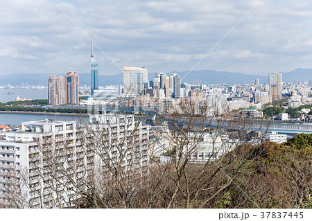 街景 福岡市街地 2018冬 福岡市西区 街景 福岡市街地 2018冬 福岡市西区 37837445