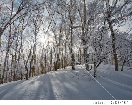 冬の里山 37838104