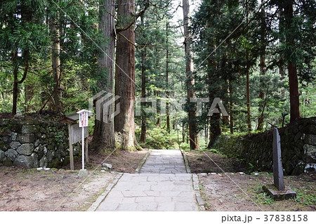 羽黒山の杉並木 37838158