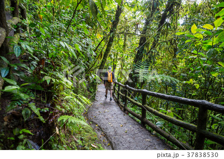 Hike in Costa Rica 37838530