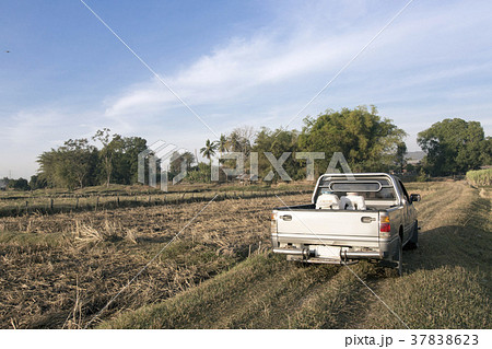 truck on field in rural agriculture life 37838623