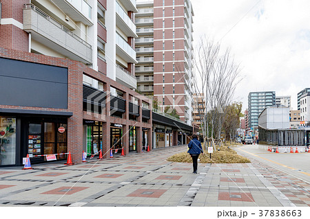 街景　福岡市中央区六本松界隈　2018冬 37838663