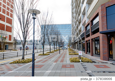 街景 福岡市中央区六本松界隈 2018冬 街景 福岡市中央区六本松界隈 2018冬 37838666