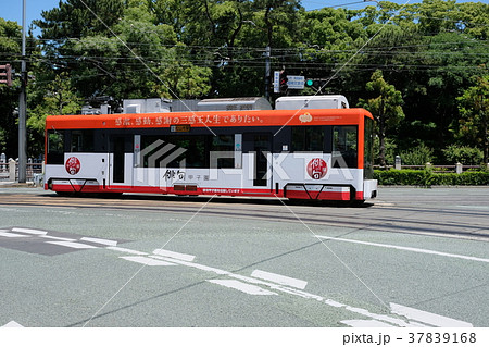 伊予鉄道路面電車、南堀端あたり 伊予鉄道路面電車、南堀端あたり 37839168