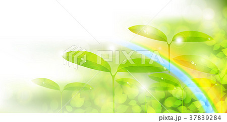 新緑　エコ　葉　背景  37839284