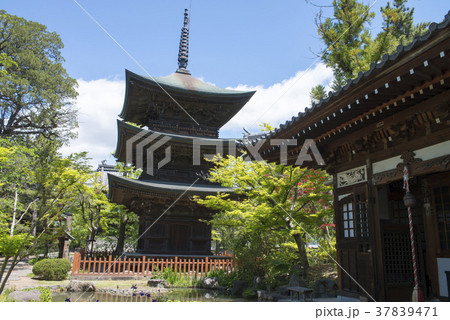 信濃国分寺 37839471