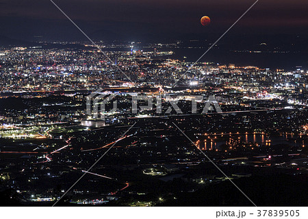 福岡タワー 皆既月食 福岡タワー 皆既月食 37839505