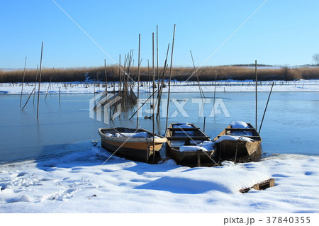 雪の渡良瀬遊水地 37840355