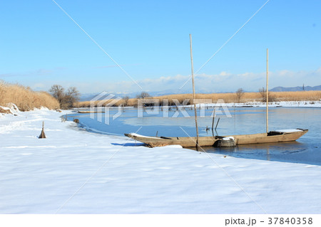 雪の渡良瀬遊水地 37840358