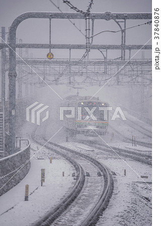 宇都宮線　E231系　浦和駅 37840876