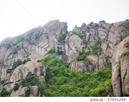 中国の名山 黄山 岩壁の登山道 中国の名山 黄山 岩壁の登山道 37841266