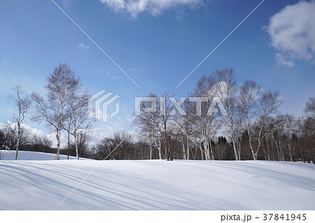 北海道立真駒内公園　雪景色 37841945