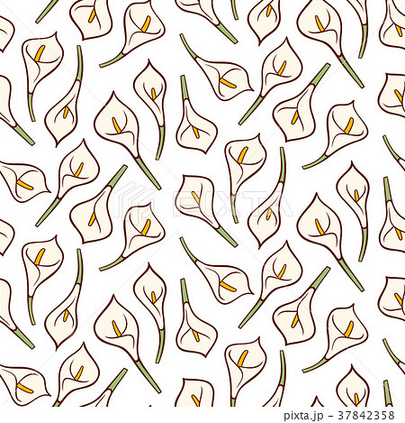 Calla lily flower vector. Seamless pattern Calla lily flower vector. Seamless pattern 37842358
