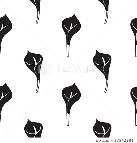Calla lily flower vector. Seamless pattern Calla lily flower vector. Seamless pattern 37842381