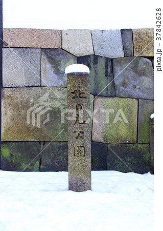 江戸城　北の丸公園 37842628