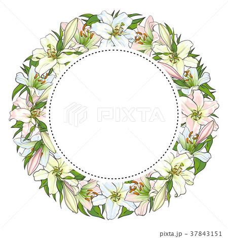 Vector hand drawn tulip circle frame Vector hand drawn tulip circle frame 37843151